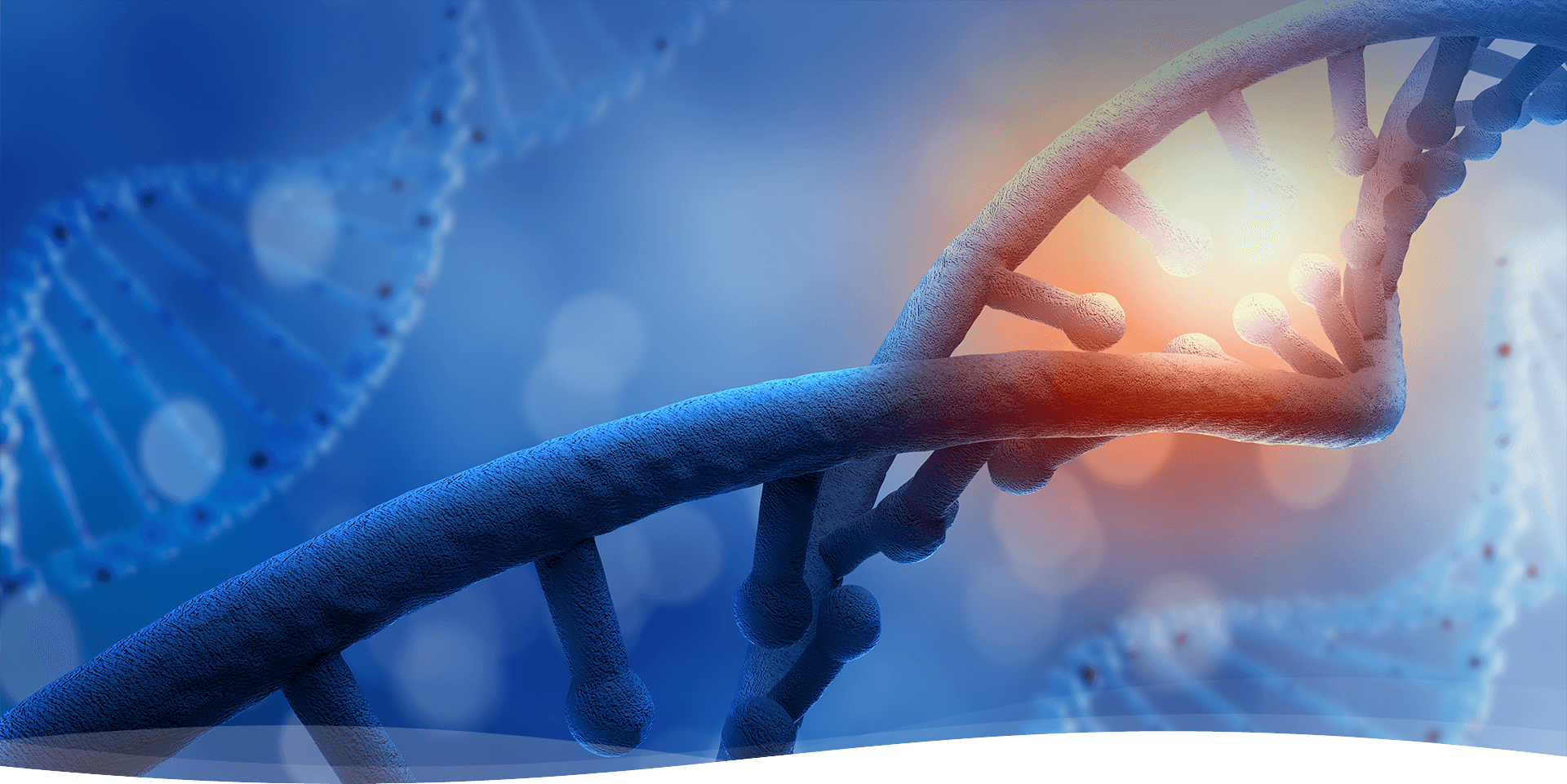 致力于成为最优质产品和服务供应商