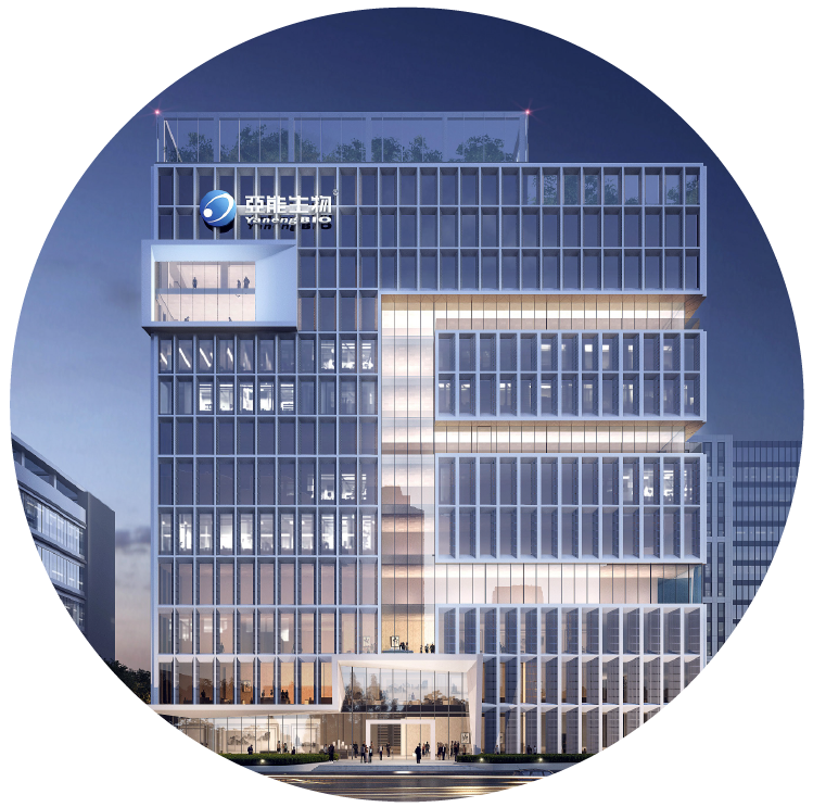 bifa必发(中国区)唯一官方网站