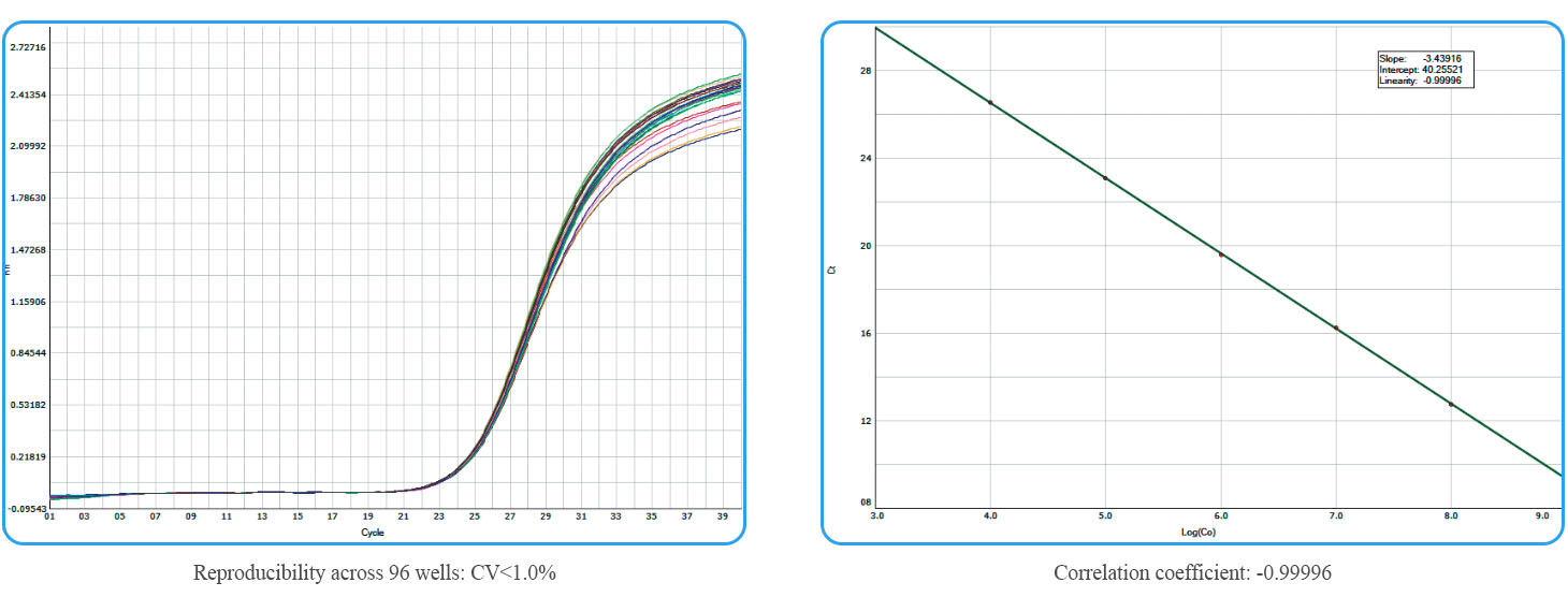 bifa必发(中国区)唯一官方网站