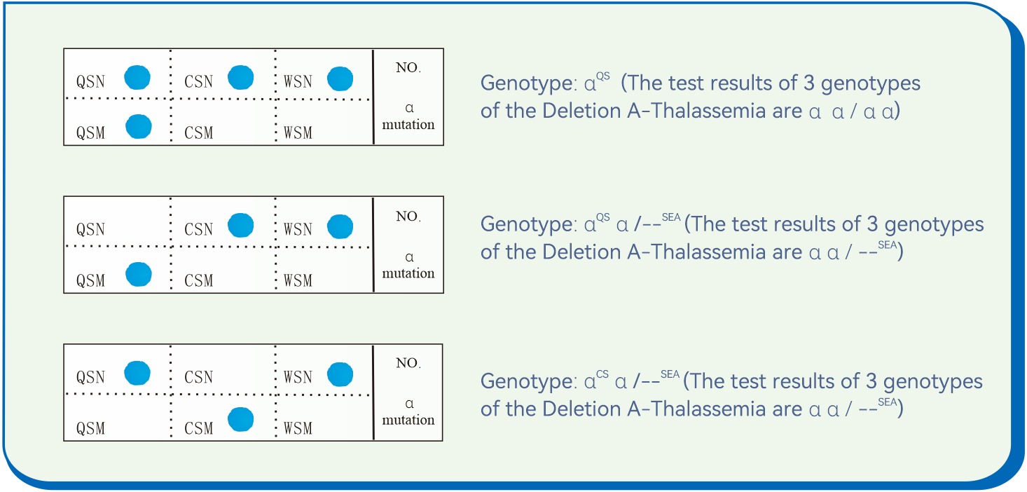 bifa必发(中国区)唯一官方网站