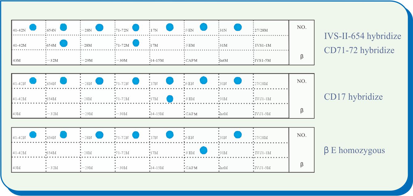bifa必发(中国区)唯一官方网站
