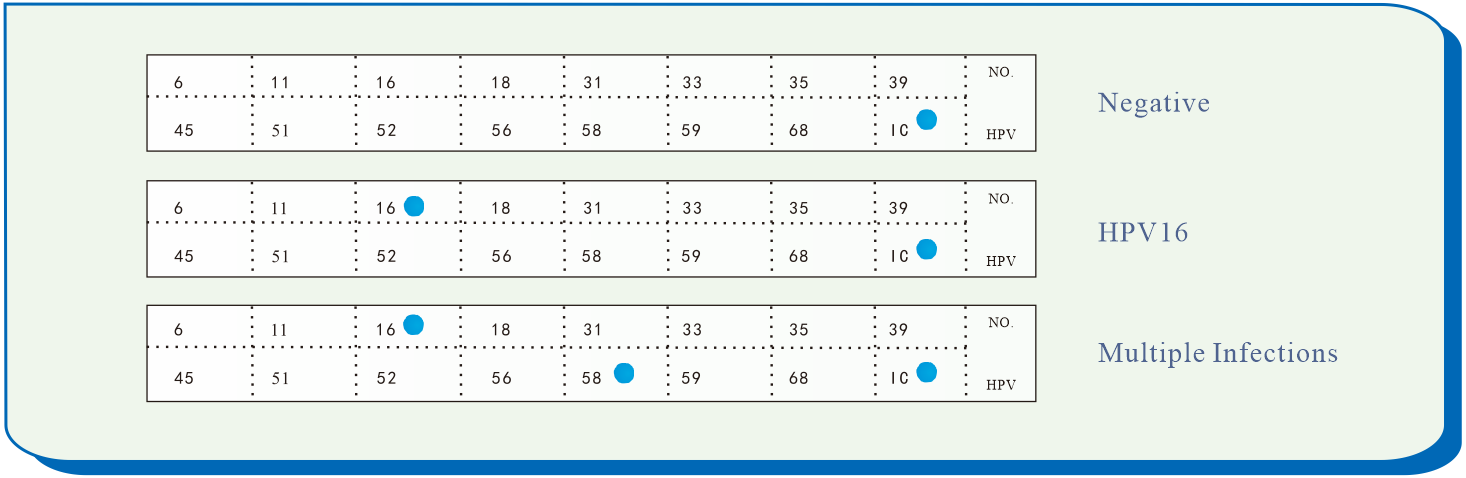 bifa必发(中国区)唯一官方网站
