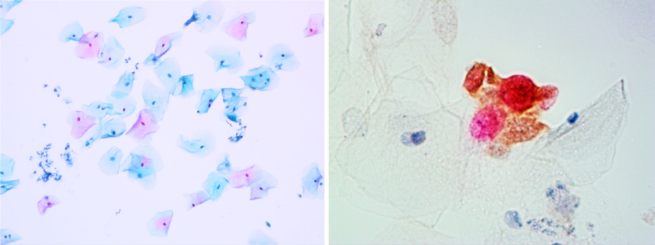 bifa必发(中国区)唯一官方网站